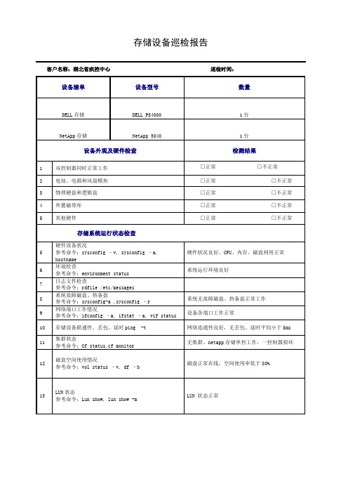 存储设备巡检报告