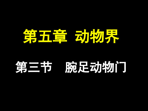 2012腕足动物