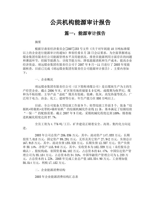 公共机构能源审计报告