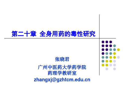 19_全身用药的毒性研究