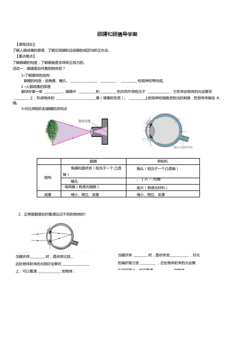 眼睛和眼镜学案