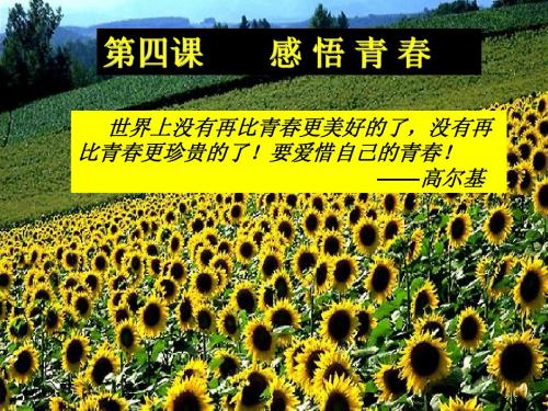 青春2感悟青春上课