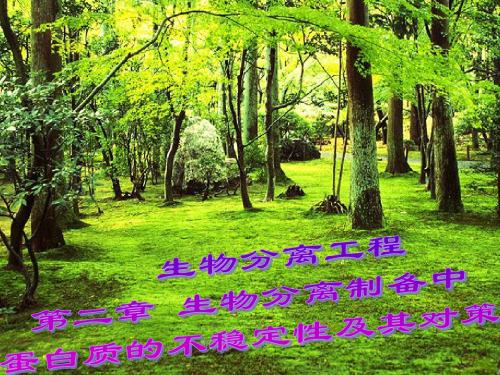 生物分离工程2(生物分离中蛋白质的不稳定性及其对策)