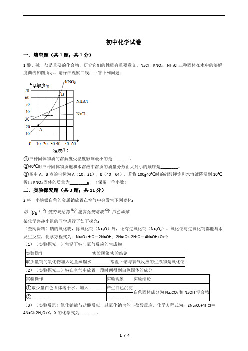 鲁教版五四制初中化学测试卷(四)含答案