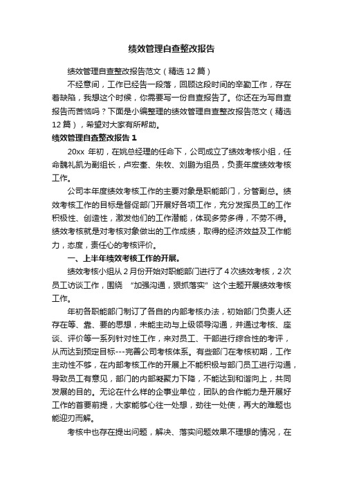 绩效管理自查整改报告范文（精选12篇）