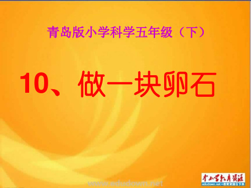 青岛版科学五年级上《做一块卵石》精品PPT课件