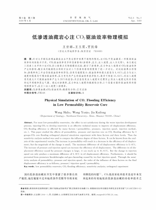 低渗透油藏岩心注CO2驱油效率物理模拟