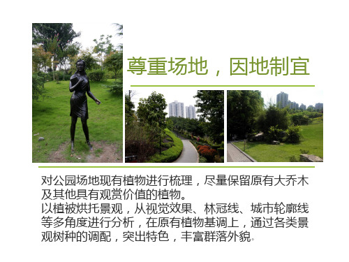 龙头寺公园植物分析