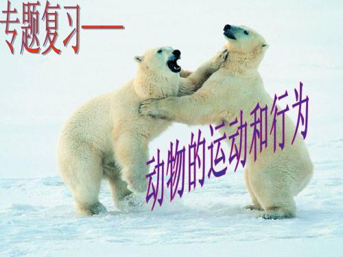动物的运动和行为复习课