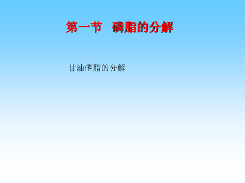 磷脂和糖脂的代谢