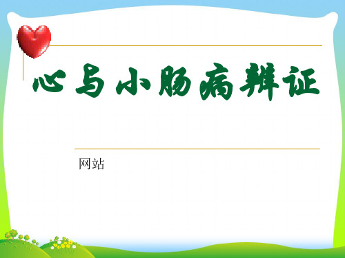 心病辨证-医学课件