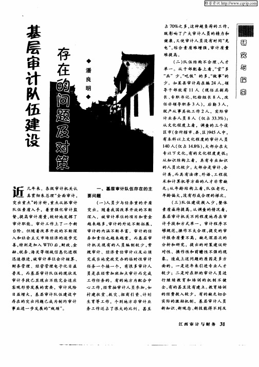 基层审计队伍建设存在的问题及对策