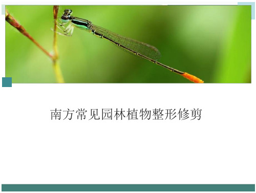 南方常见园林植物整形修剪