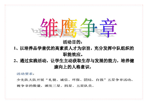 雏鹰争章演说稿