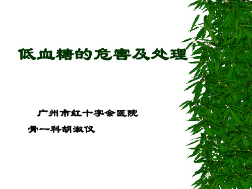低血糖的危害及处理概要