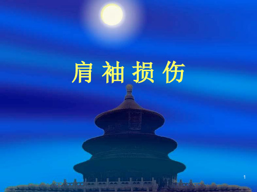 肩袖损伤参考幻灯片