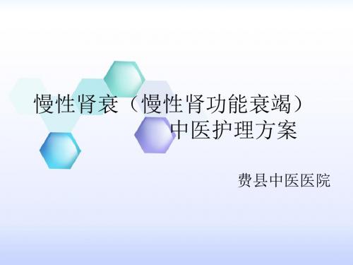 肛漏病肛瘘中医护理方案PPT课件