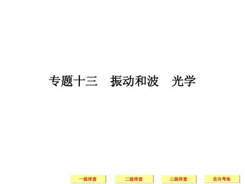 2014届高考物理三轮简易通三级排查大提分课件：专题十三 振动和波 光学