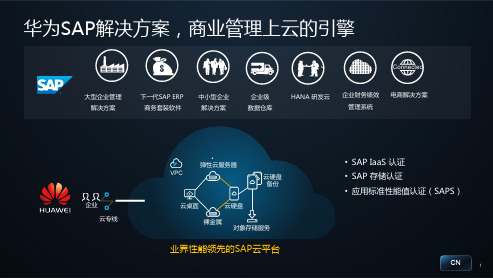 华为SAP解决方案
