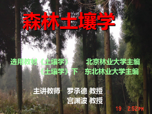 森林土壤学课件PPT课件