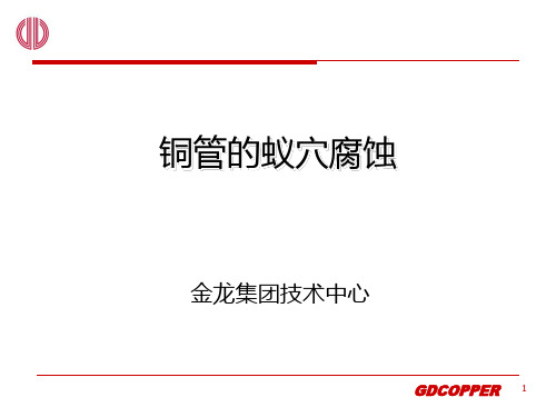 铜管的蚁穴腐蚀研究报告(金龙)