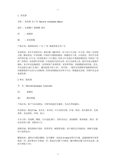 漳州市区园林绿化植物