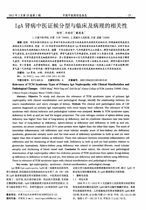 IgA肾病中医证候分型与临床及病理的相关性
