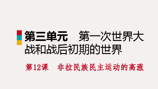 九年级历史下册 第三单元第12课 非拉民族民主运动的高涨课件 新人教版