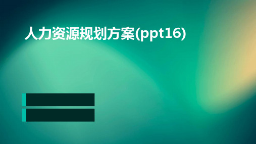 人力资源规划方案(PPT16)