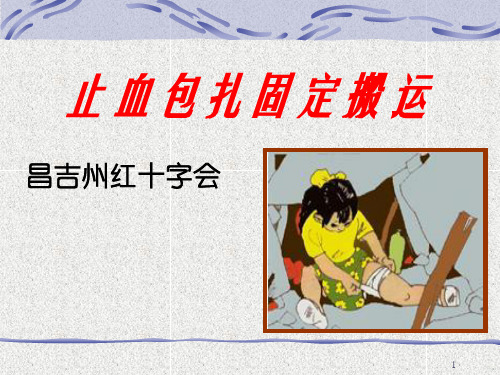 止血、包扎、固定、搬运ppt课件