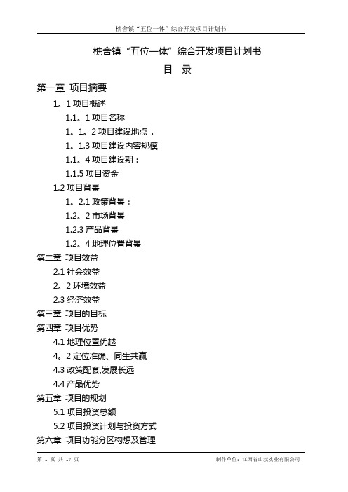 五位一体项目计划书1