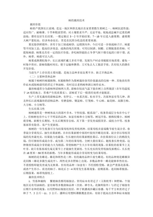 柿的栽培技术