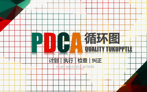 内分泌科护理pdca循环ppt