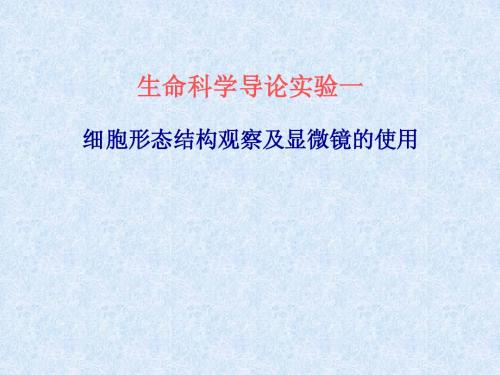 生命科学导论实验