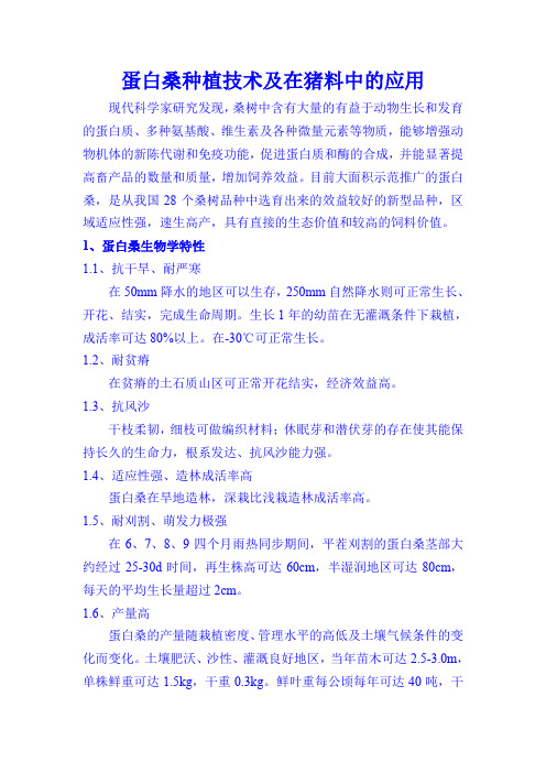 蛋白桑种植技术及在猪料中的应用