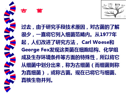第三章_古菌