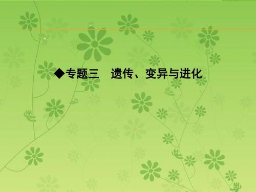 【导与练】2016届高三二轮复习生物课件 专题三遗传、变异与进化 小专题6遗传的分子基础