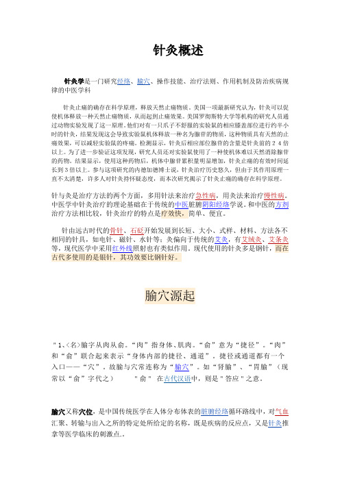 针灸概述