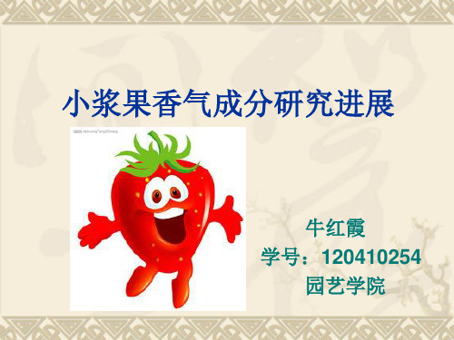 小浆果香气成分研究资料