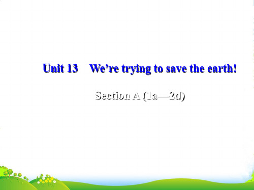 人教版九年级英语下册Unit 13 We’re trying to save the earth! 