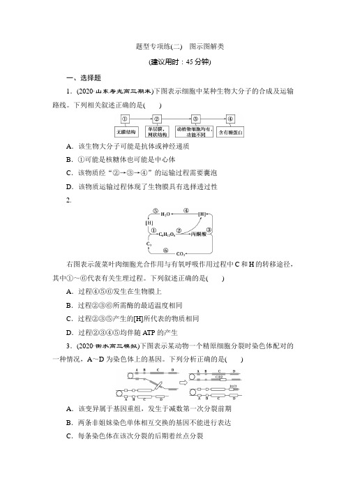 新高考生物考前冲刺题型专项练(二) 图示图解类
