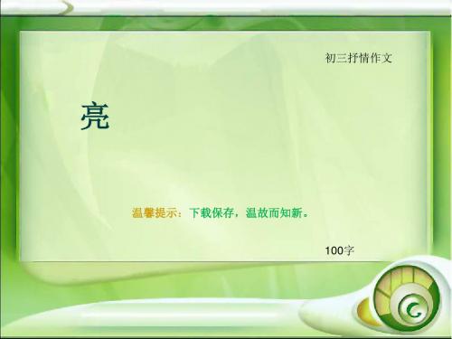 初三抒情作文《亮》100字(总5页PPT)