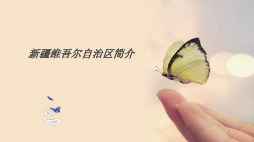 新疆维吾尔自治区简介
