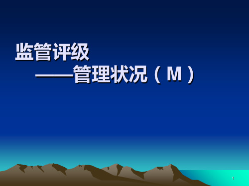 商业银行监管评级PPT课件