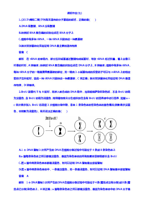 高考生物二轮专题复习测试题 ：专题7遗传的分子基础 Word版含答案