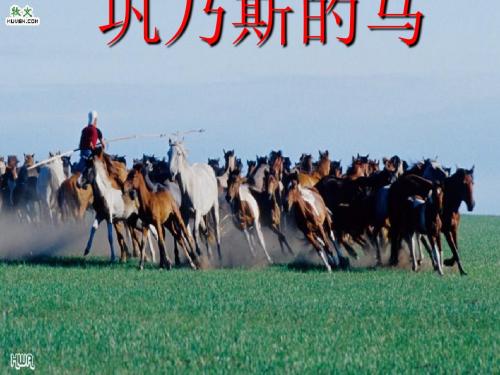 巩乃斯的马ppt实用课件32