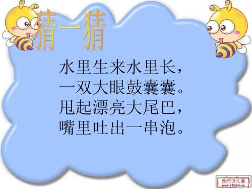 科学三年级上_金鱼