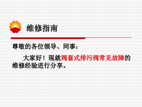 阀套式排污阀常见故障维修指南剖析