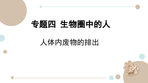 生物中考复习专题四(四)人体内废物的排出