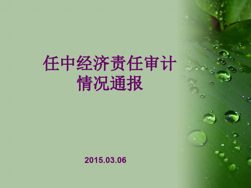 任中经济责任审计案例分析ppt课件